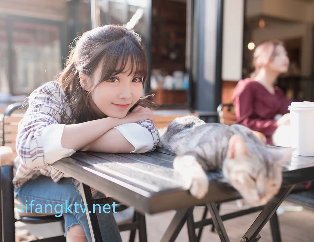 145의 사본